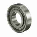 Rollway Bearing Cylindrical Bearing – Caged Roller - Straight Bore - Unsealed UM1312B